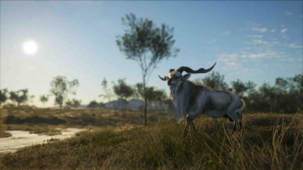 《猎人：荒野的召唤》全新的澳大利亚狩猎DLC将于6.20推出