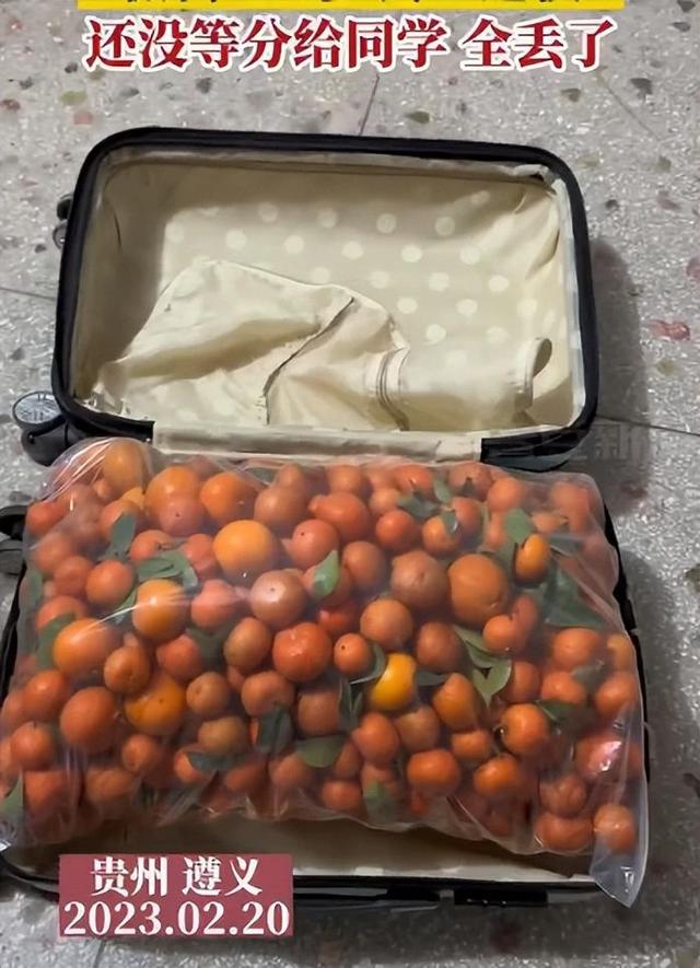 女大学生50斤砂糖橘丢失，学校监控3小时都没找到！