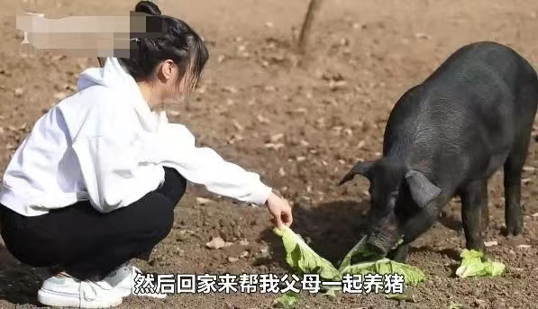 两年半存款20万 95后涌向养猪场，封闭式管理